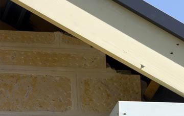 soffit repair Duckswich