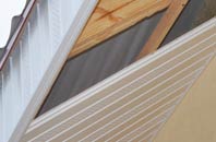 rated Duckswich soffit repair companies